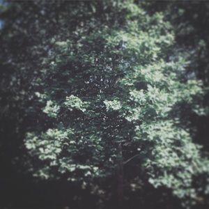 Meet your Posher, Leigha